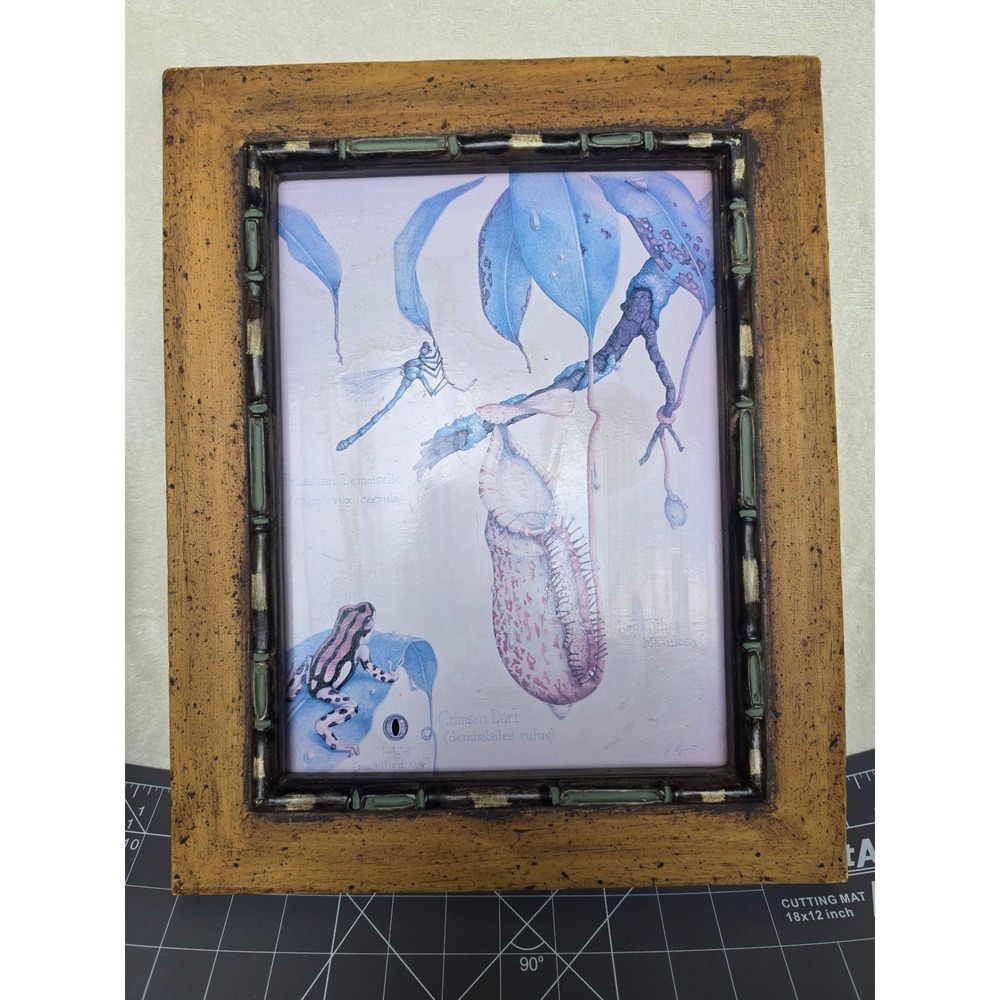 Vintage Botanical Pitcher Plant Frog Dragonfly Framed Art The Great Indoors